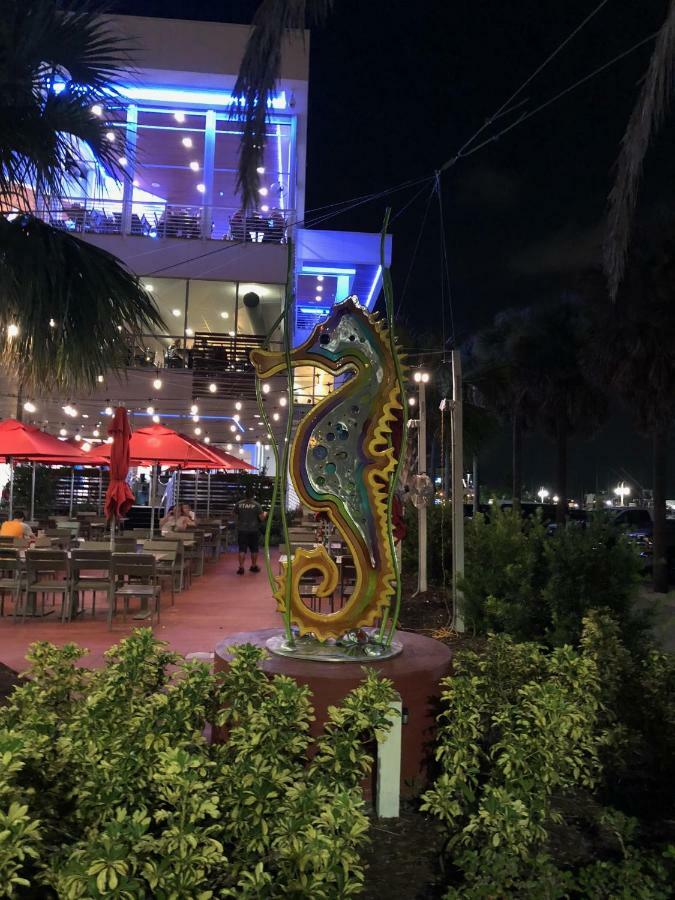 Rose Motel 克利尔沃特 外观 照片